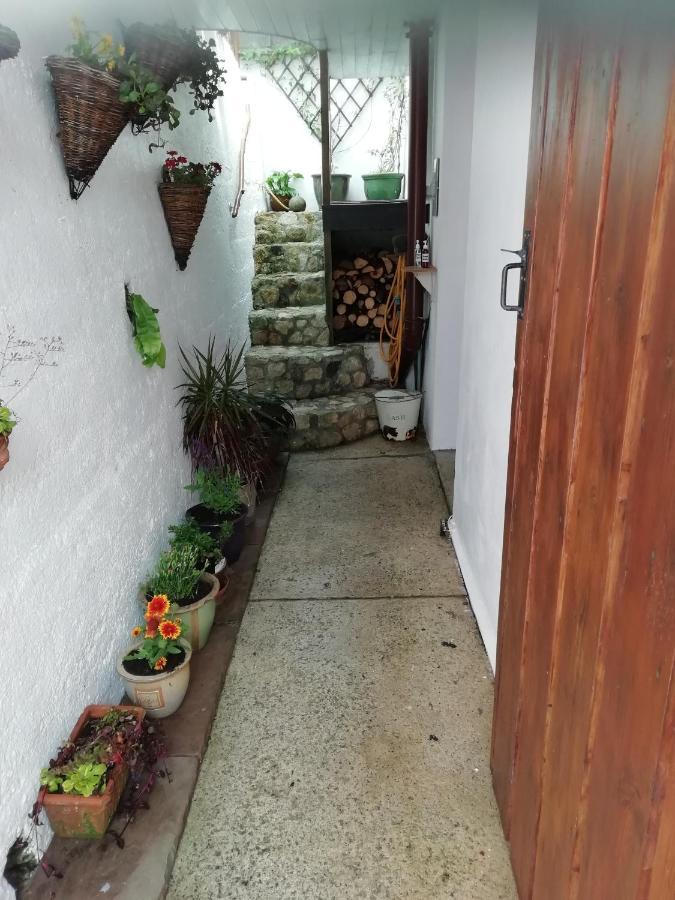 Clearview Cottage St Austell Eksteriør billede